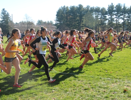 A large group of cross country runners at the beginning of their competitive run