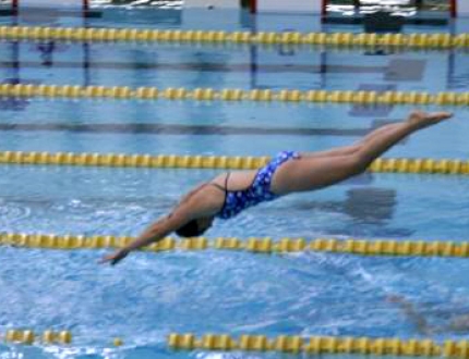 A swimmer dives into the water in a pool with lane dividers
